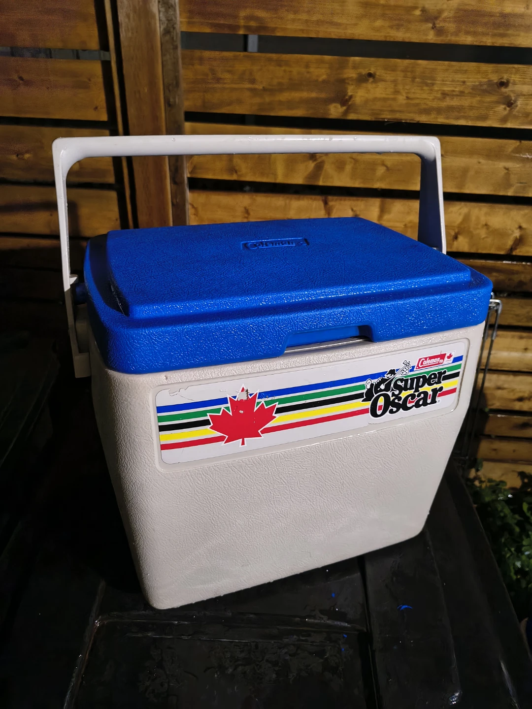 Rare! Coleman 24 qt Picnic Cooler with Drain