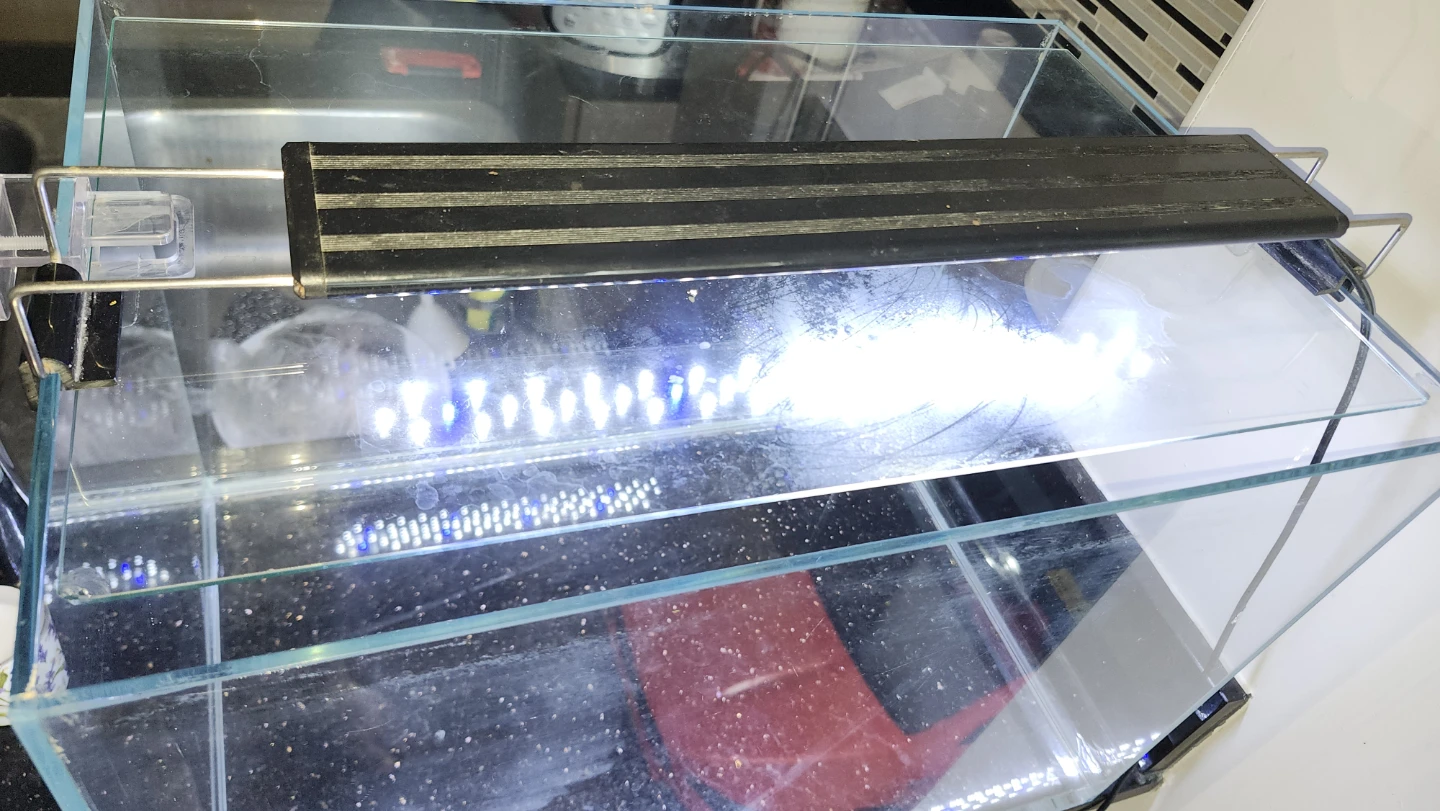 15 gallon rimless aquarium - photo 4