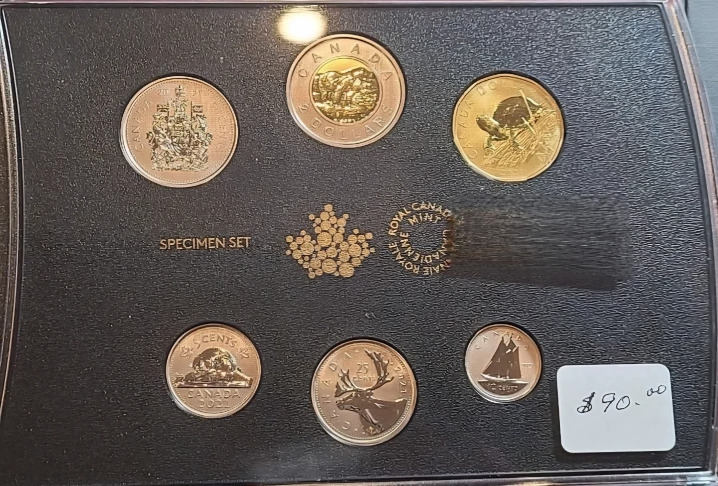 Specimen set - photo 2