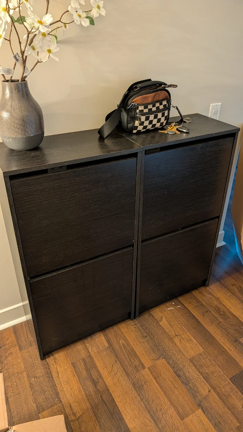 Black Shoe Storage Cabinet