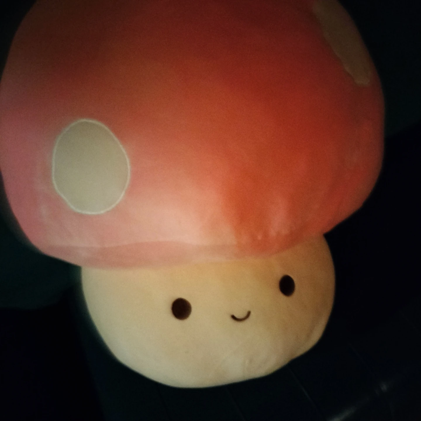Cute Mushroom Plush Toy