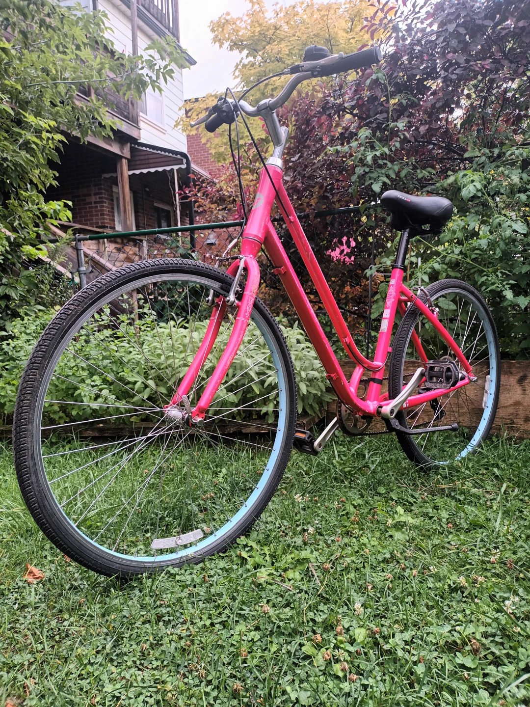 Giant Liv4 Bike