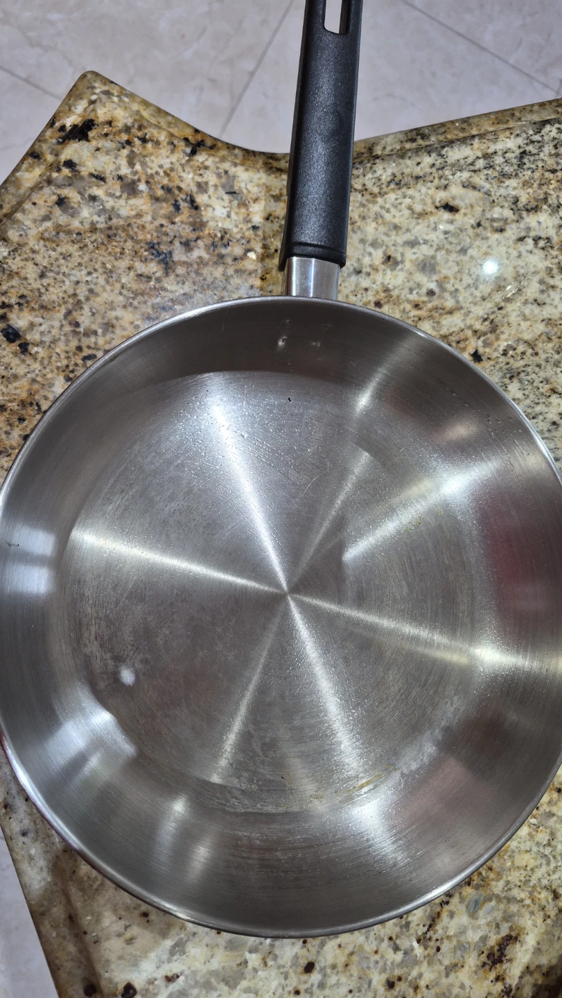Stainless Steel Frying Pan 10"
