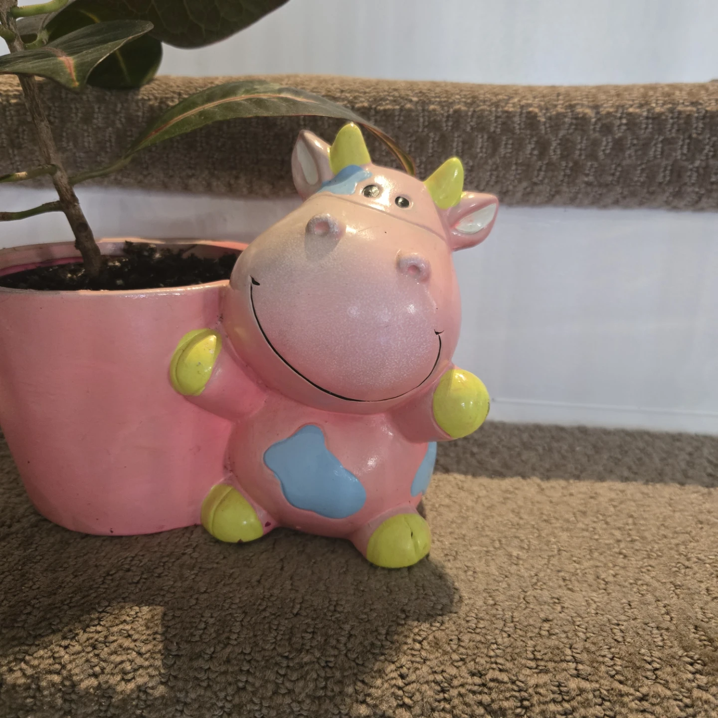 Cute Pink Cow Planter Pot Includes Croton Plant