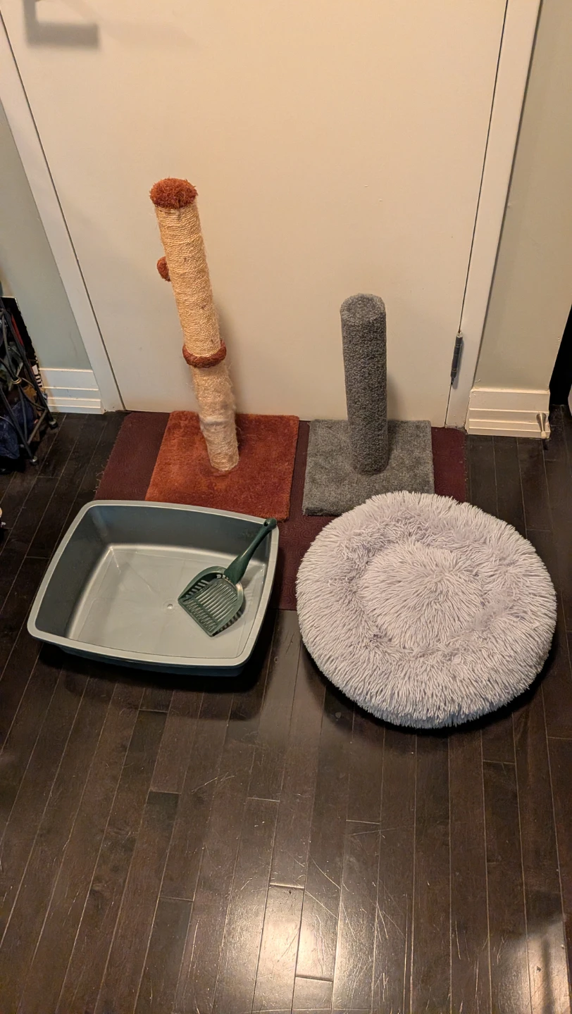 Cat Scratching Posts, Fluffy Bed and Litter Box
