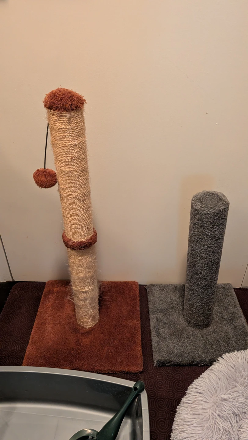 Cat Scratching Posts, Fluffy Bed and Litter Box - photo 2