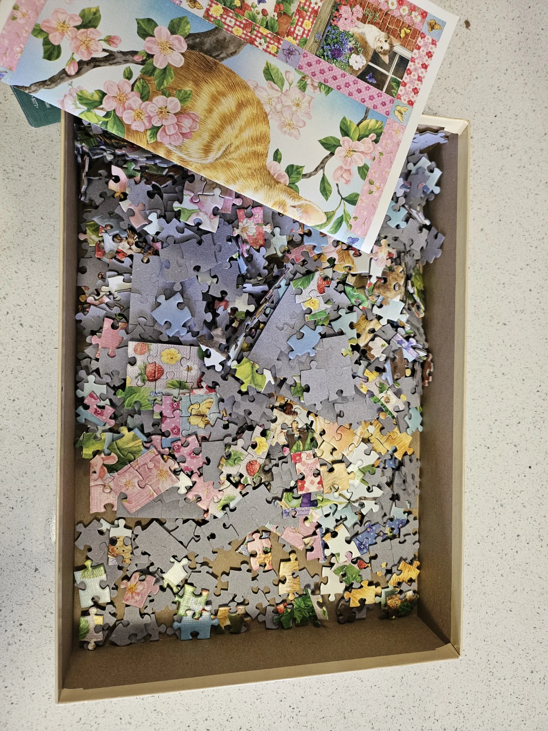 1000 Piece Jigsaw Puzzle - Orange Tabby Cat & Flowers - photo 2