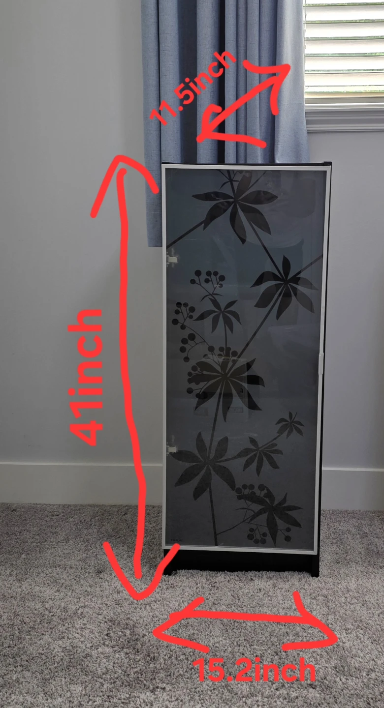 Black Storage Cabinet with Frosted Glass Door