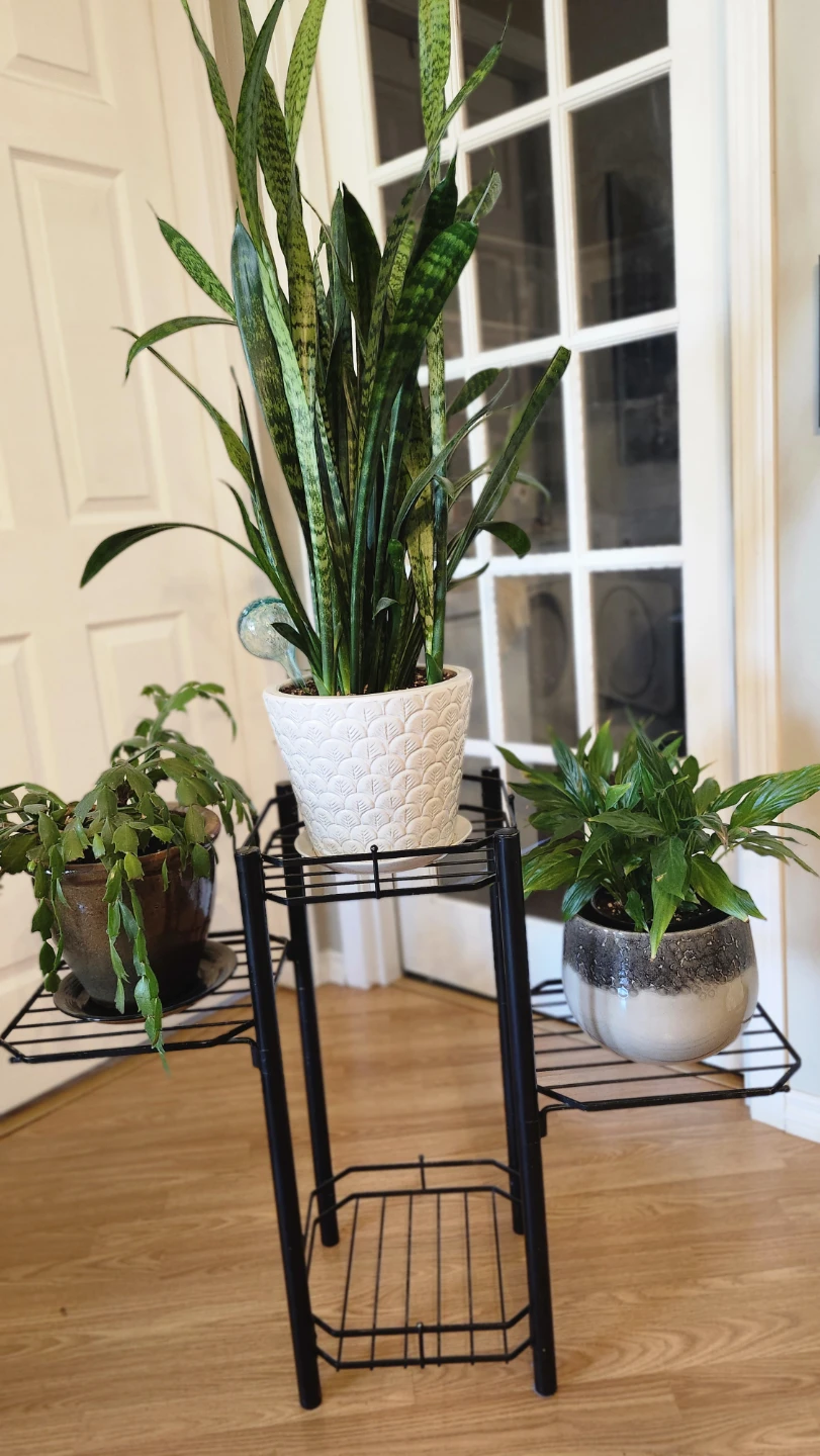 Black Metal Plant Stand with 3 Tiers