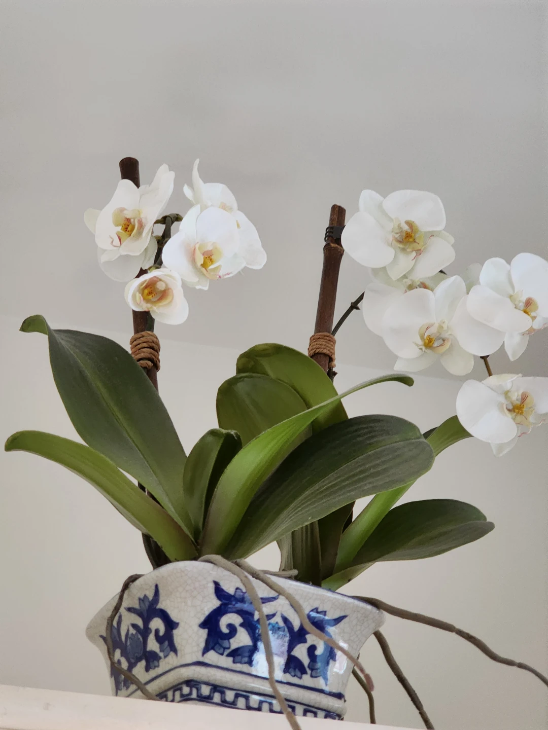 Ethan Allen:  Asian  Orchids in Ceramic Blue& White Pot