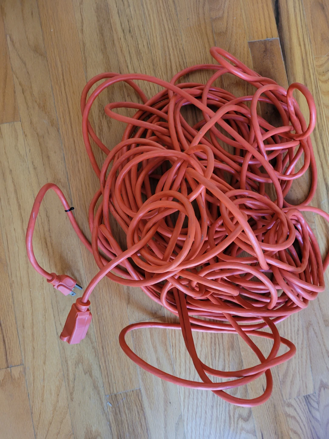 Very Long Orange Extension Cord