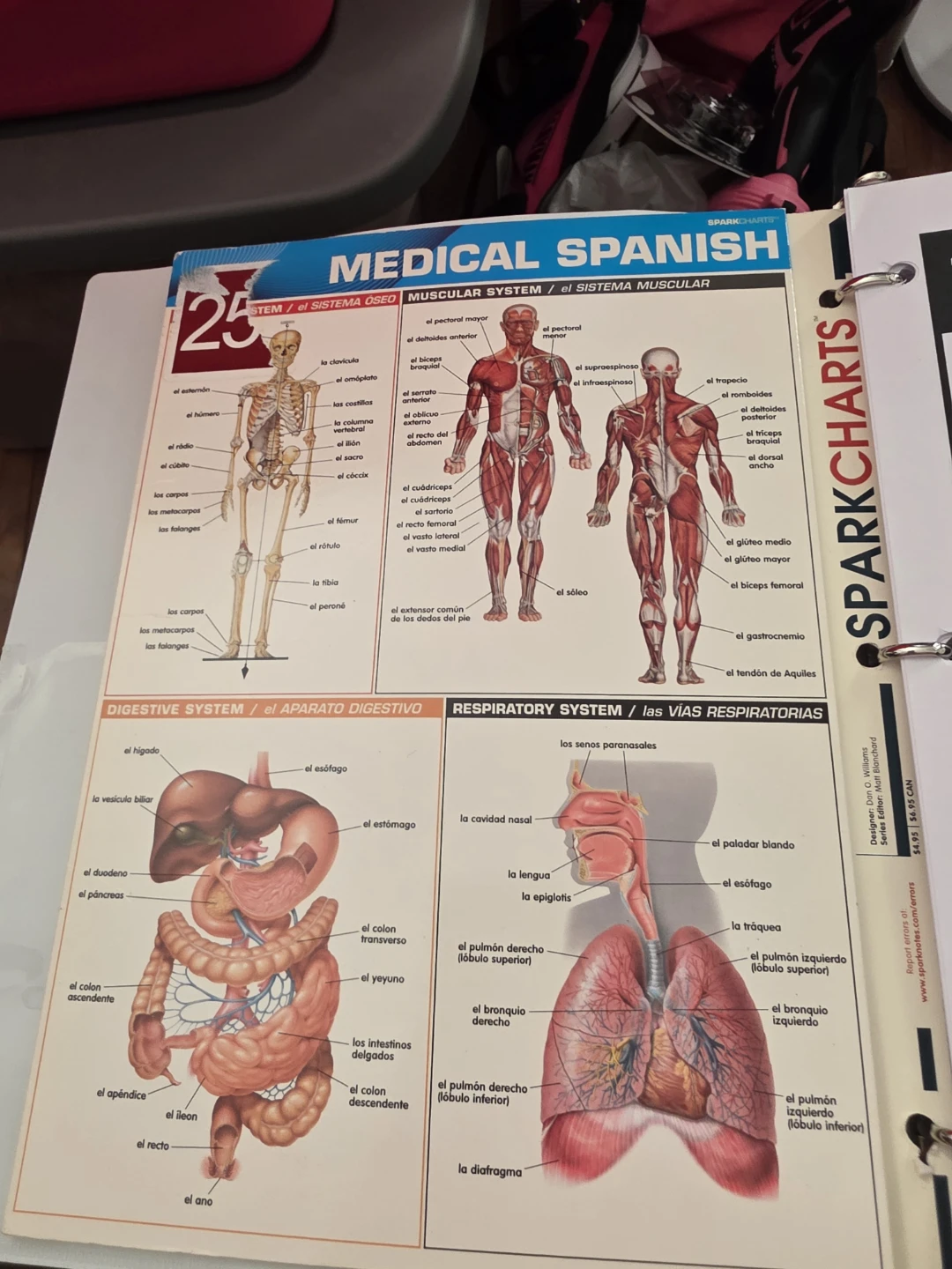 SparkCharts Medical Spanish & Nursing Quick Study Guides - photo 2