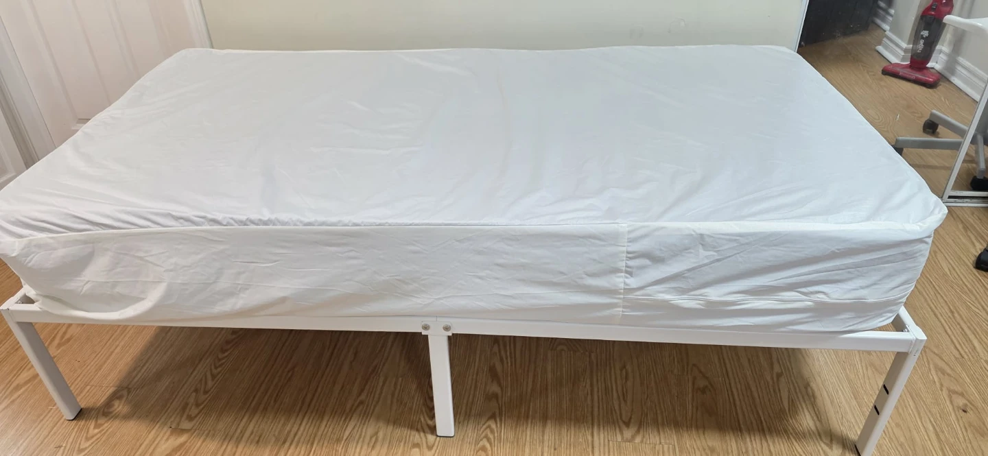 Twin Mattress and Bed Frame