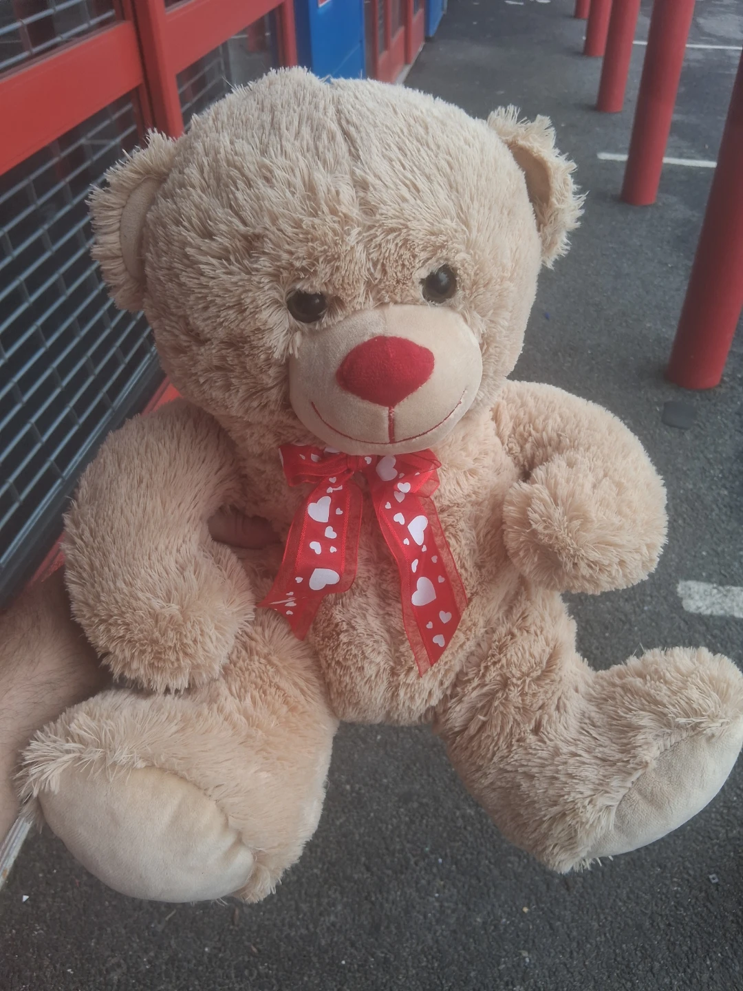 HUG & LUV Teddy Bear