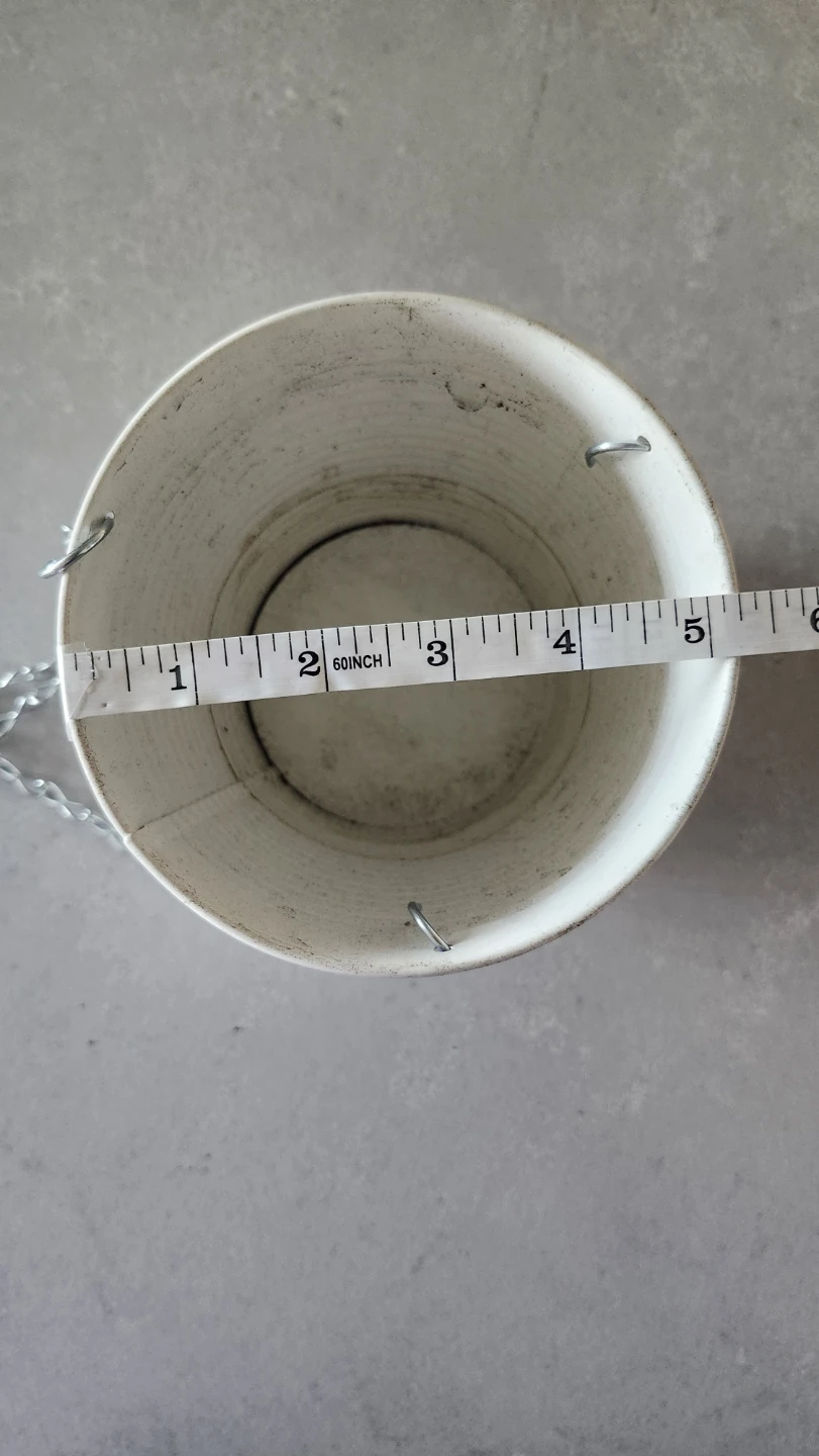Hanging Plant Pot - photo 3