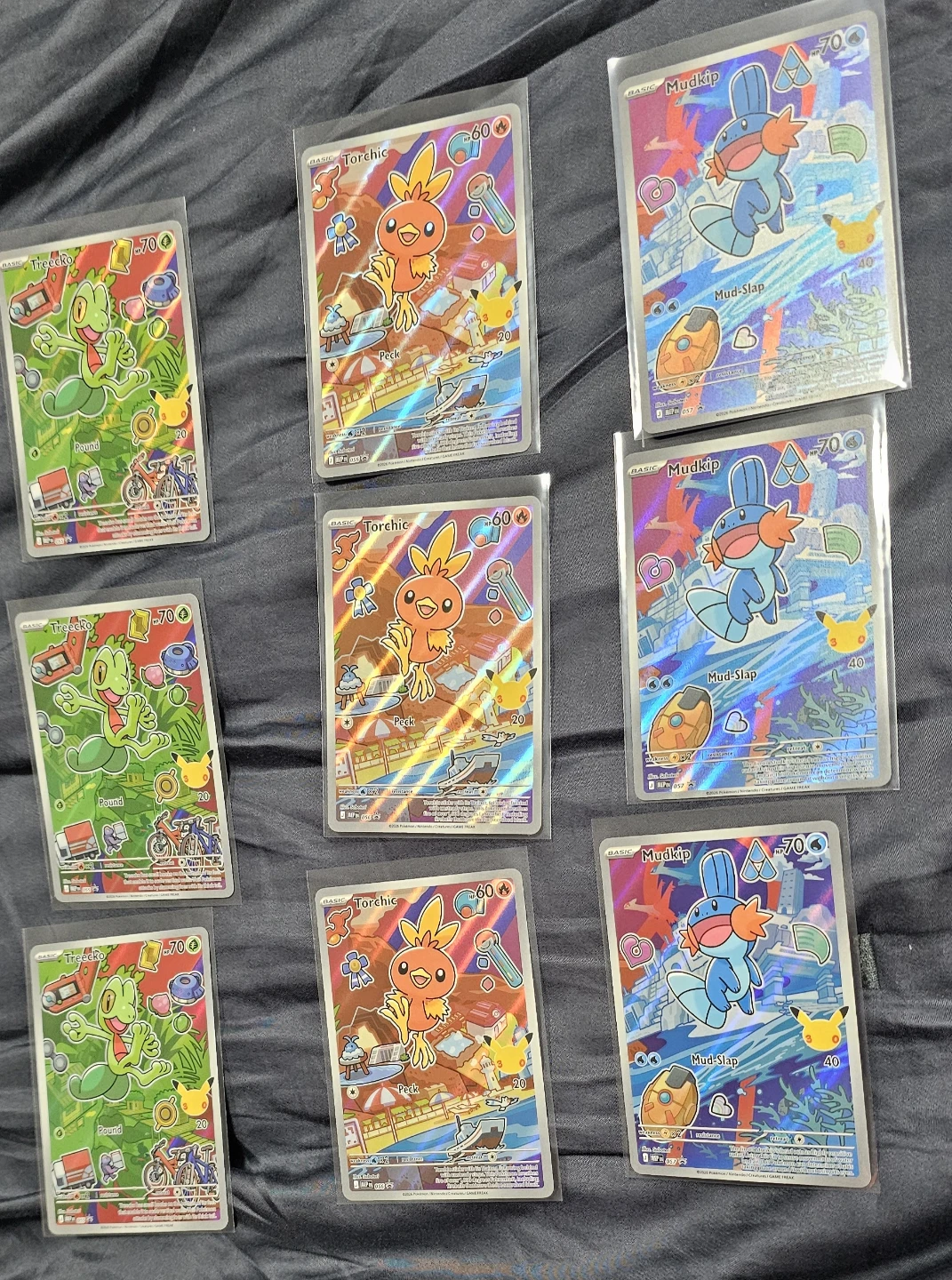 Pokemon First Partner series 3- Torchic, Mudkip, Treecko