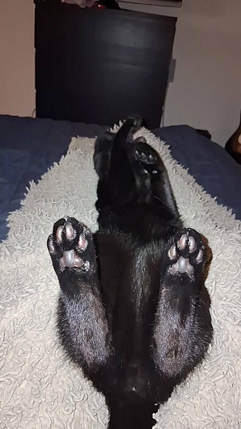 Toe pics