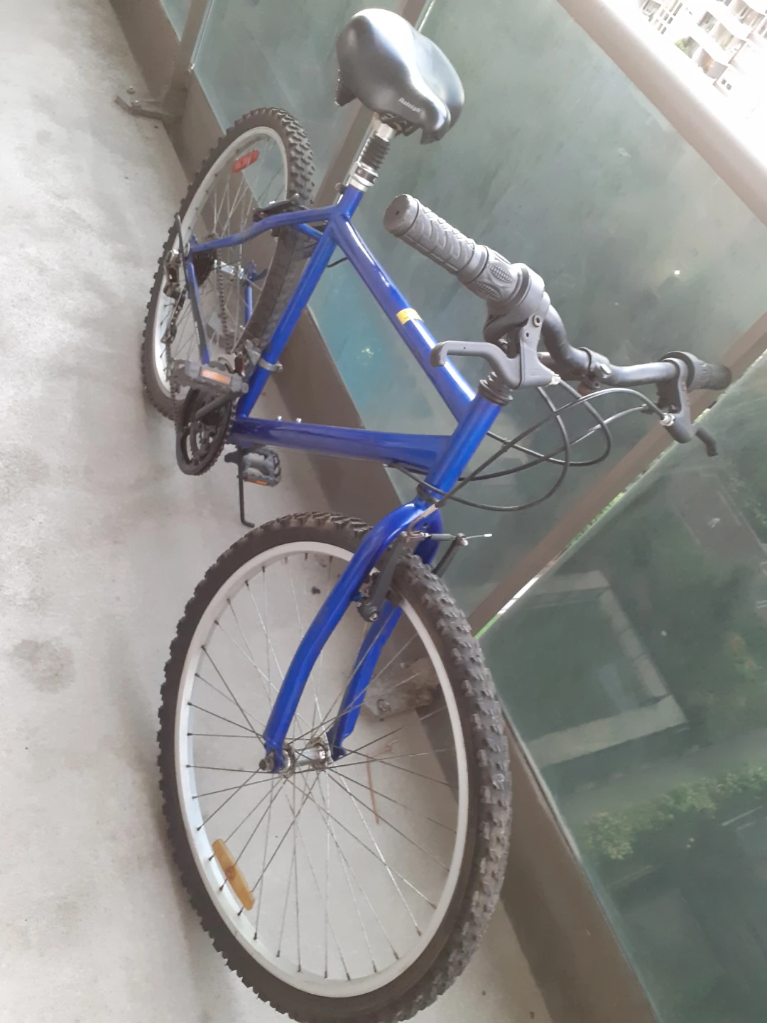 Blue Raleigh Mountain Bike - photo 2