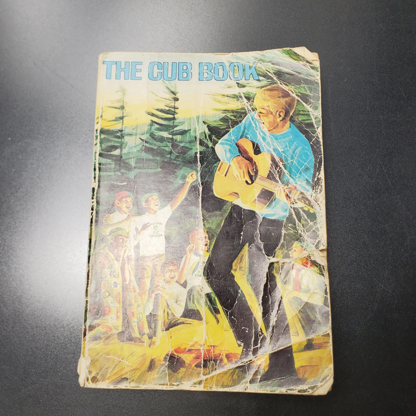 The Cub Book - A Book of Things to Do for Boys 8 to 10