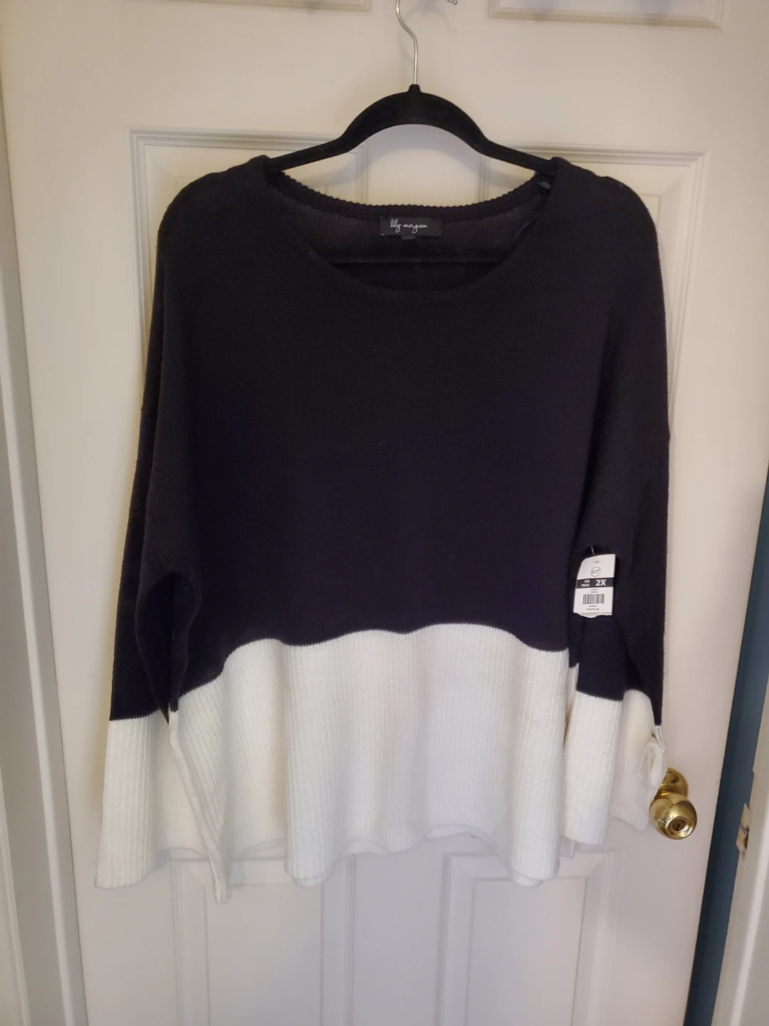 Plus Size Lily Morgan Colorblock Sweater