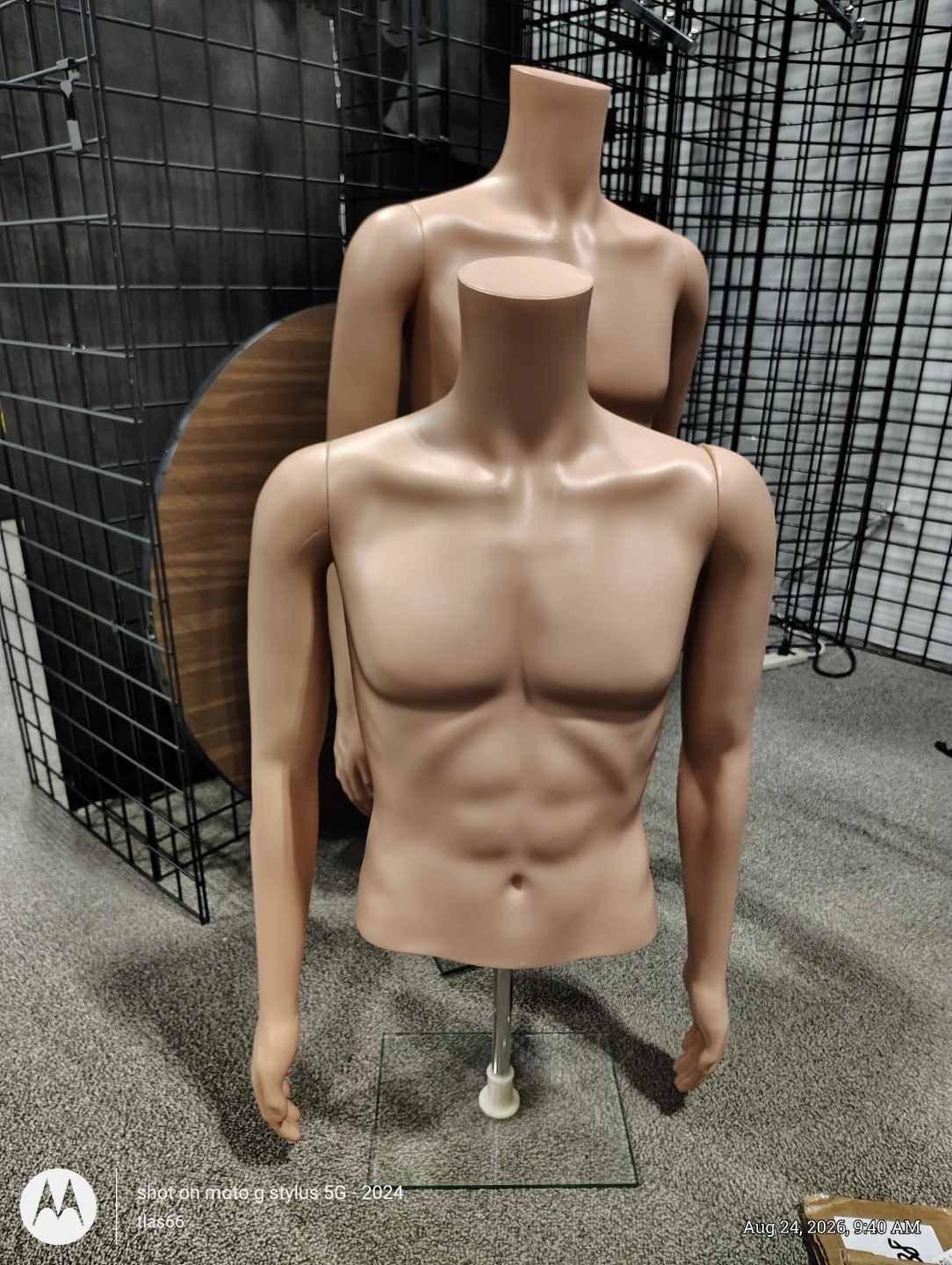 Male Mannequin Torso - photo 5
