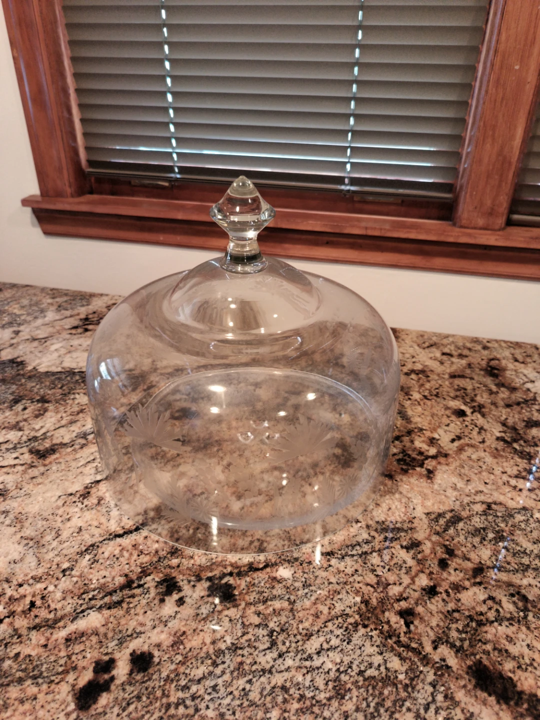 Glass Cake  Dome Cover