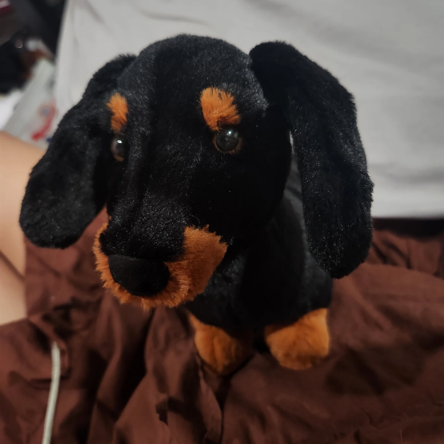 NWT Rare Retired Jellycat Freddie Sausage Dog 12" - photo 3