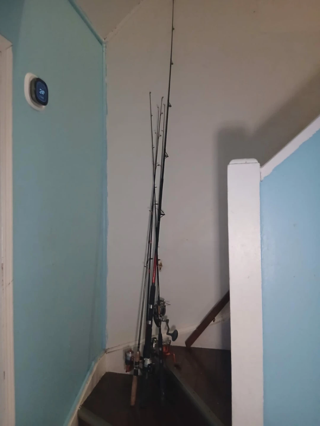 Fishing Rods and Reels - photo 4