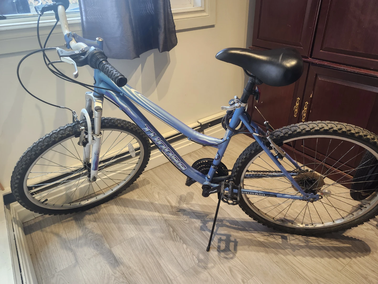 Blue Tundra Mountain Bike