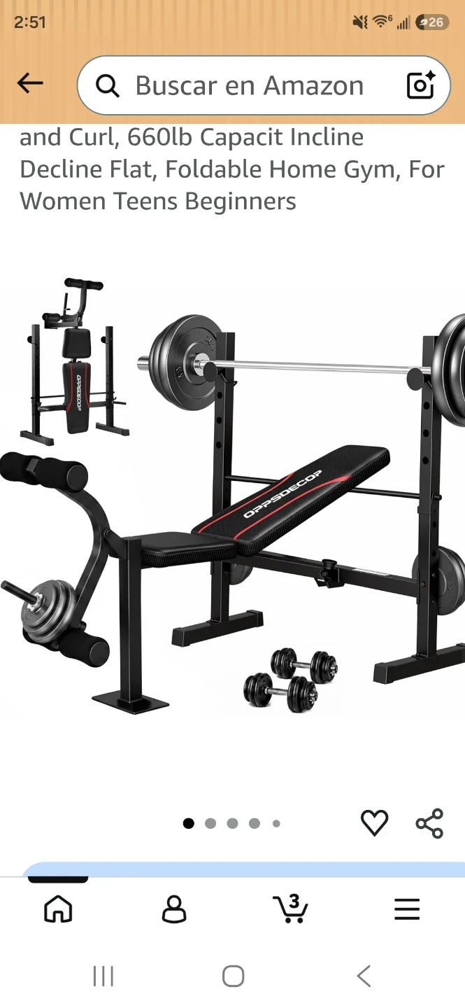 Weight Plates and Bicep Curl Bench
