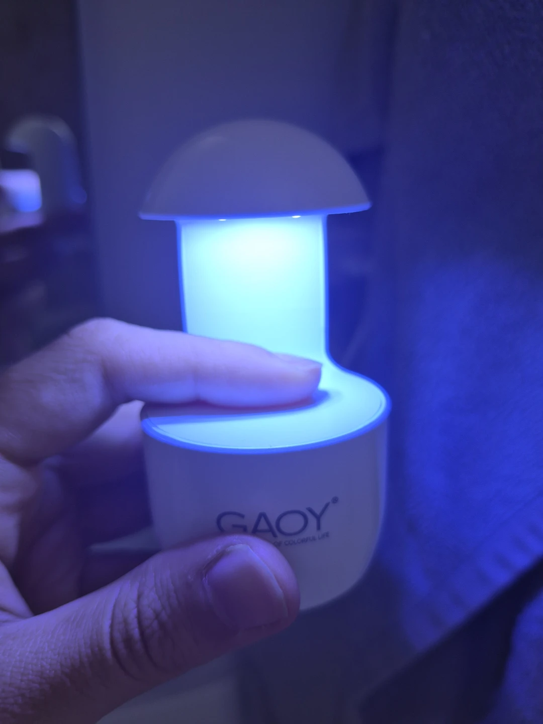 GAOY UV Nail Lamp