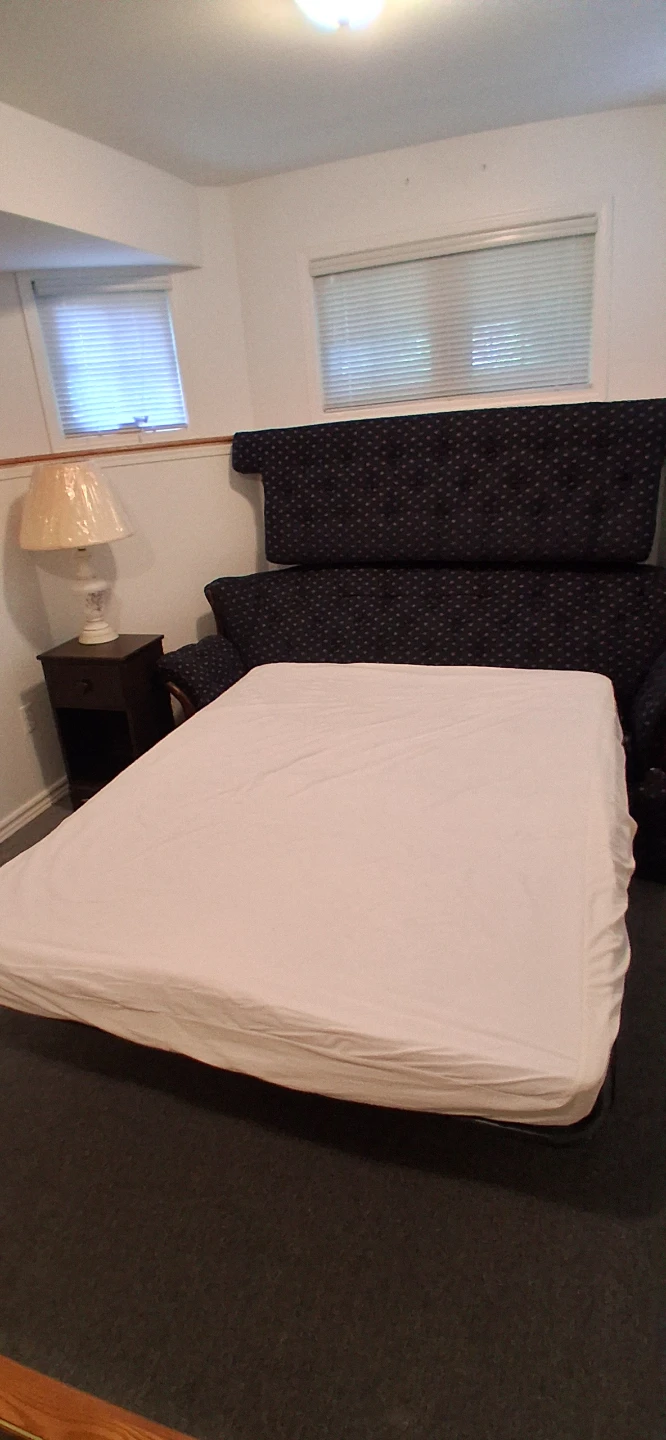 Blue Patterned Sofa Bed with Pillows - photo 2