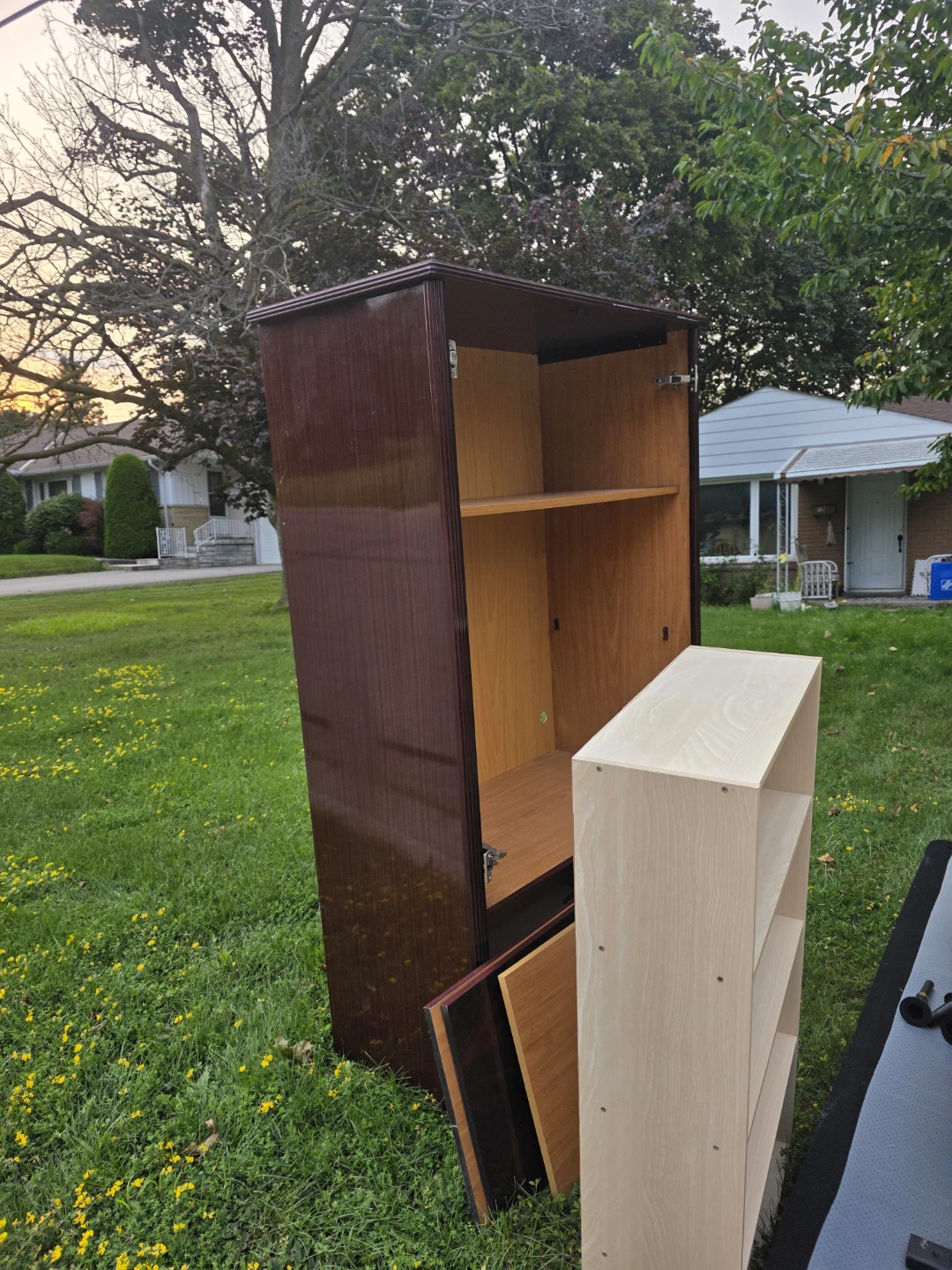 Tall Wooden Cabinet with Shelves