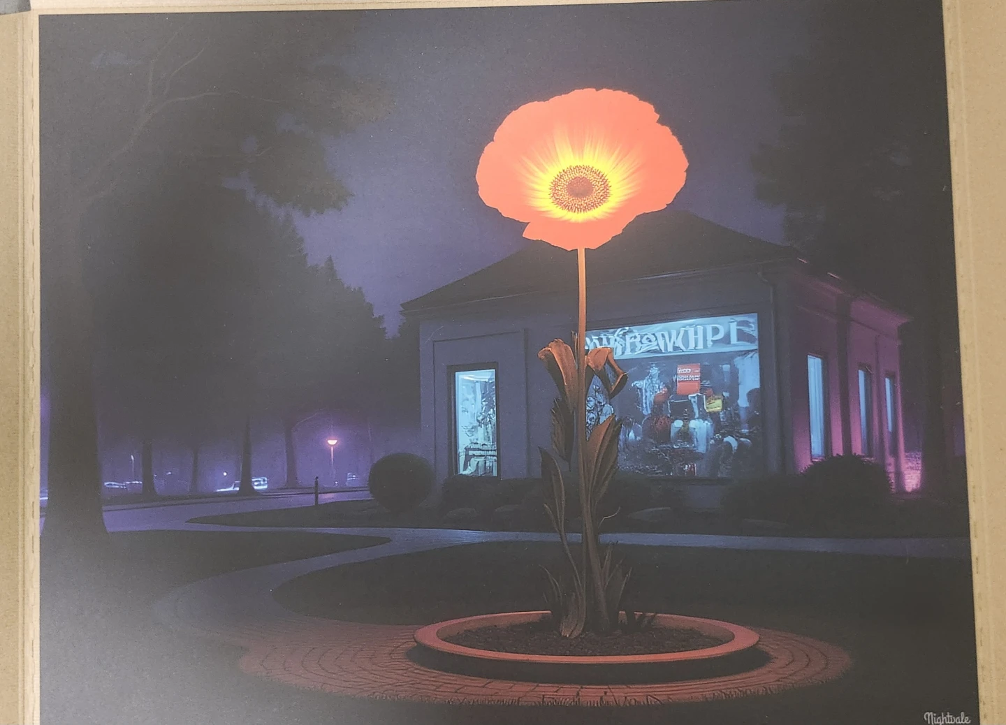 Nightvale-A Bright Bloom In The Dark 16" by 20" Matte Art Print - photo 2
