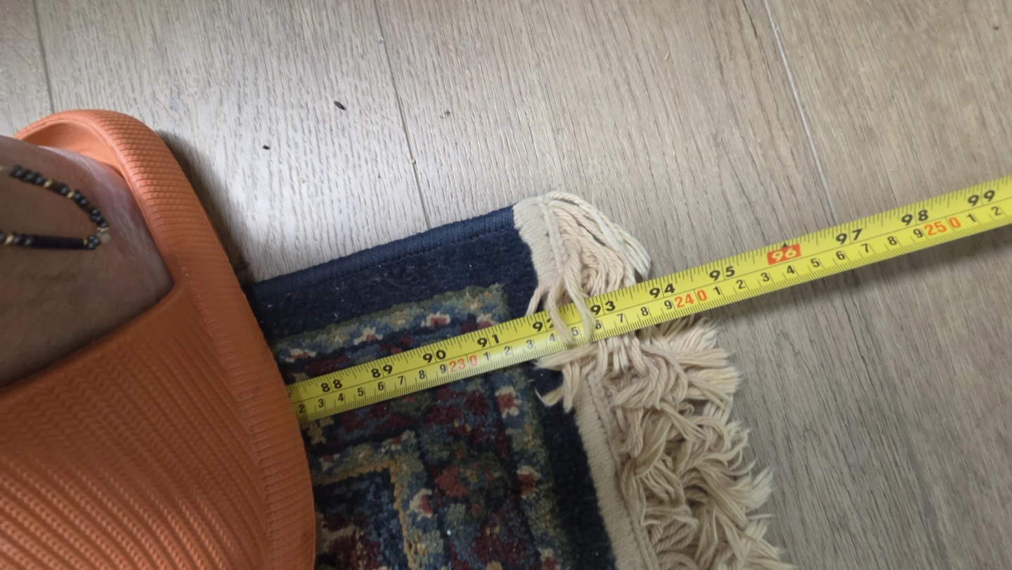 Persian Style Area Rug - photo 2