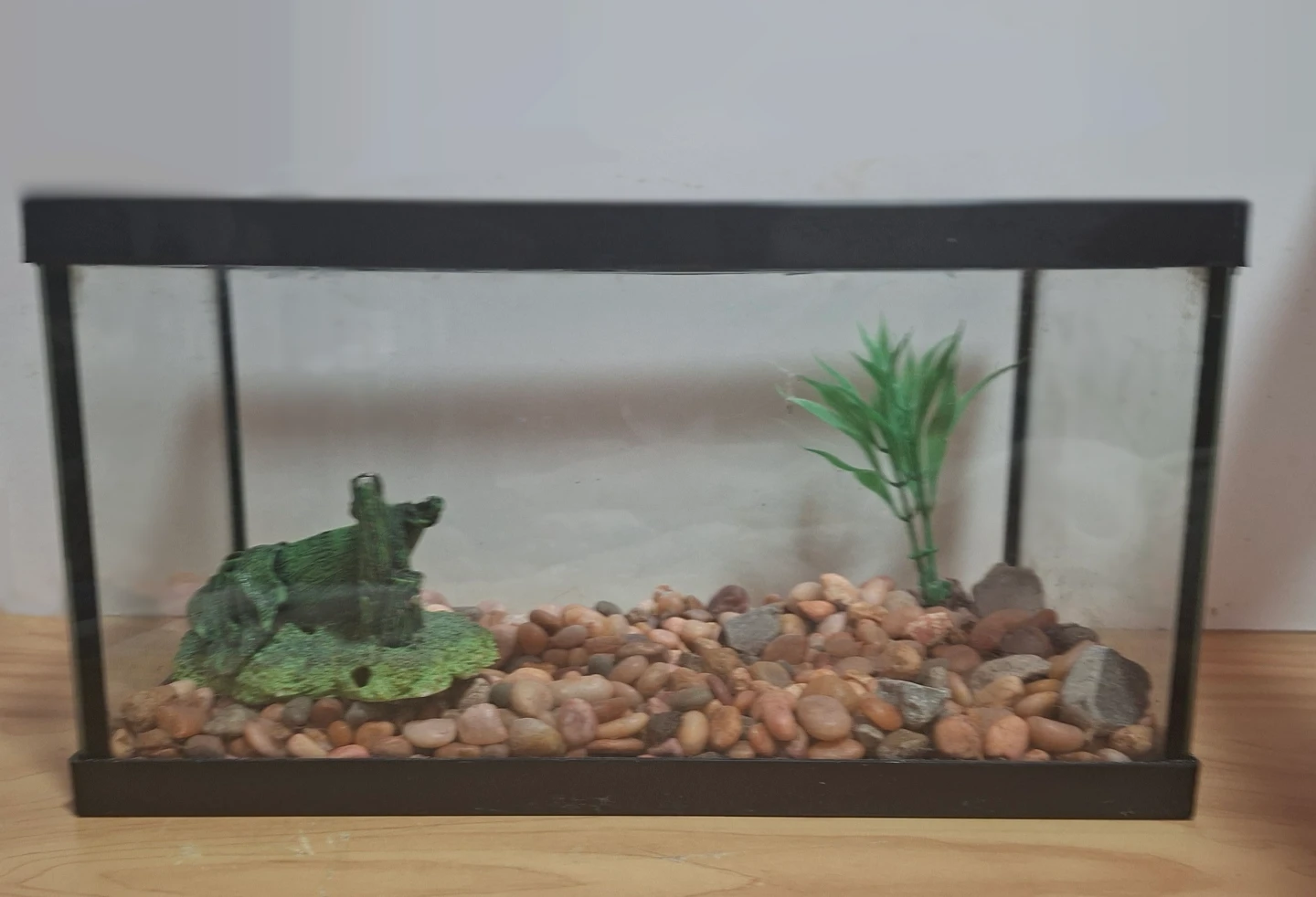 Glass Fish Tank