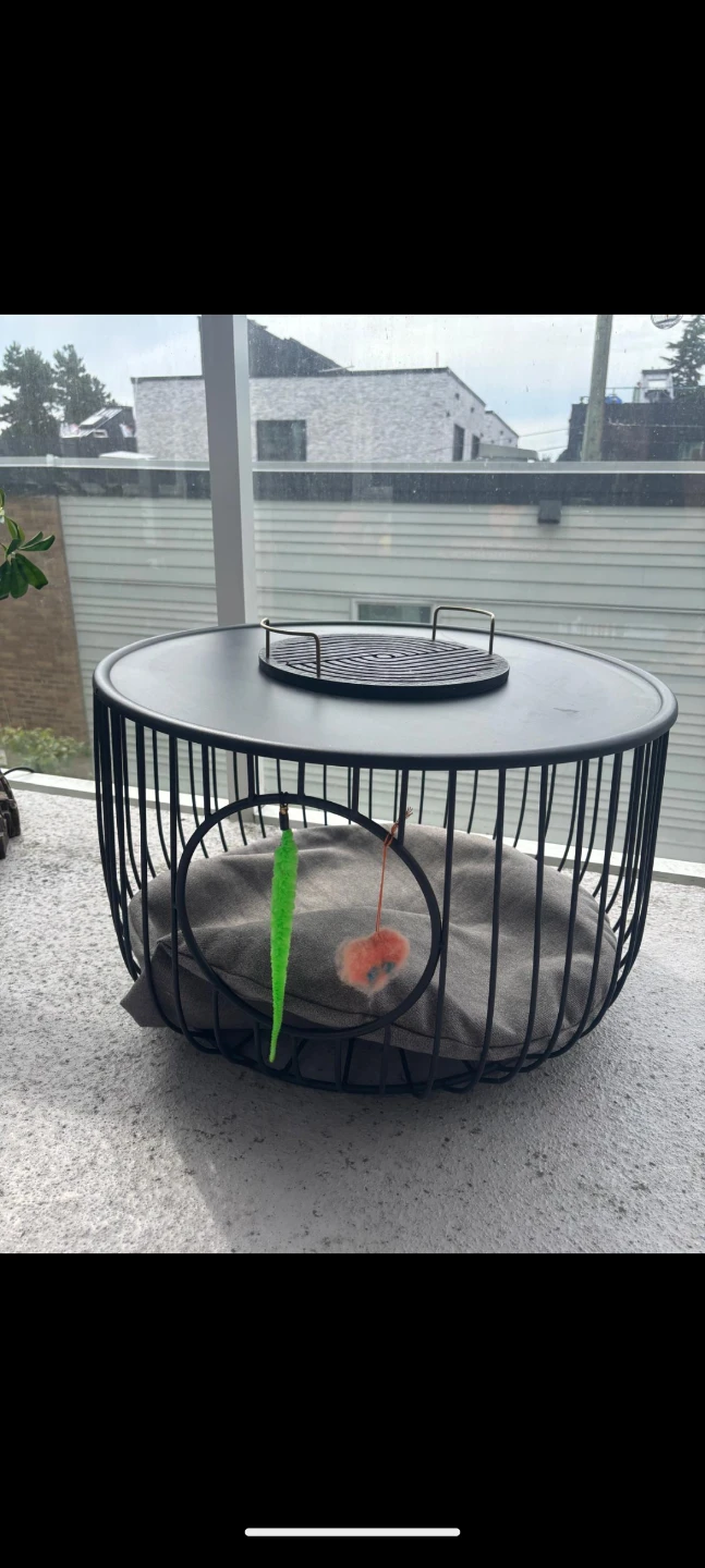 Pet Bed with Table Top