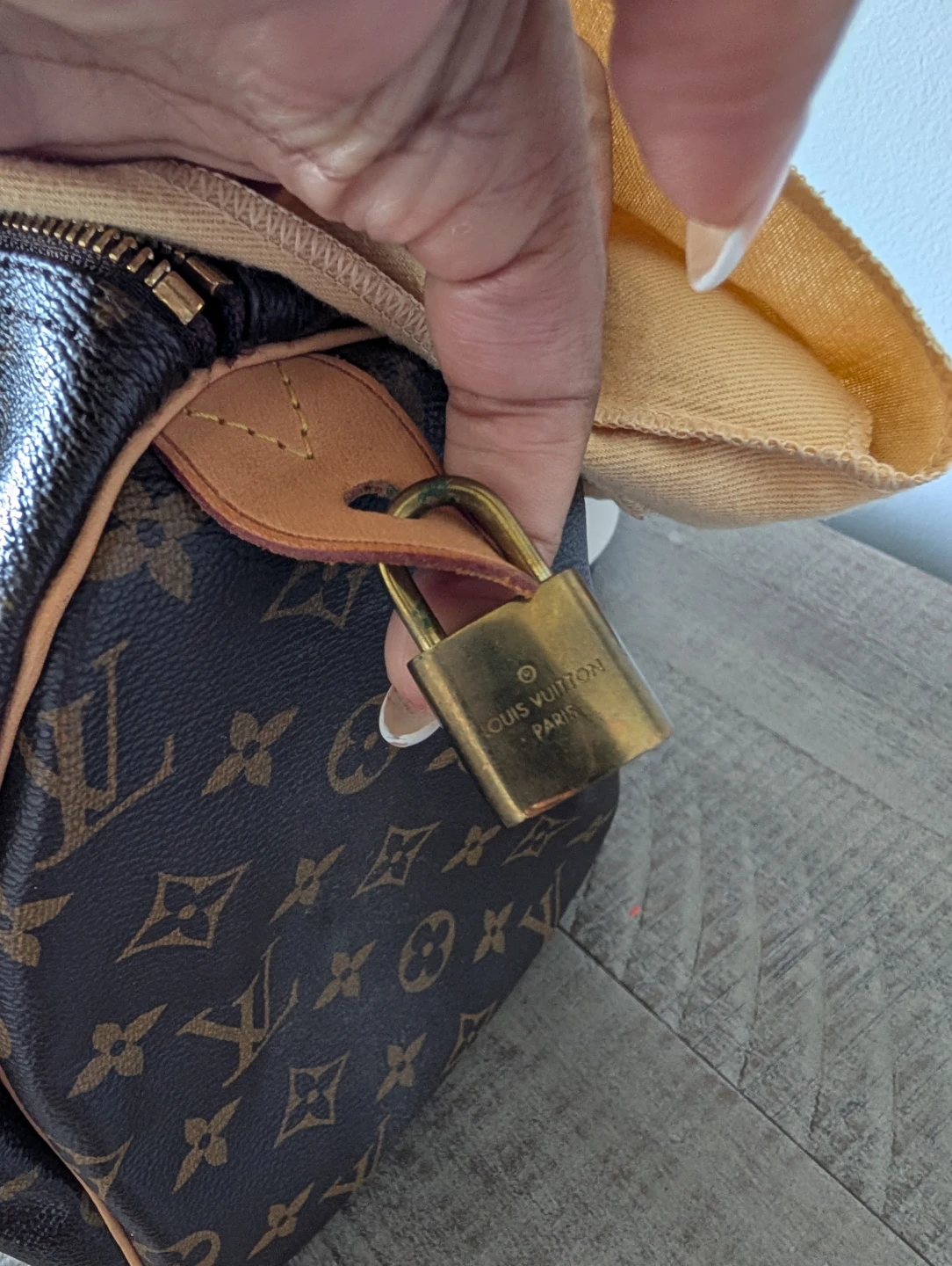 Louis Vuitton Speedy Bag