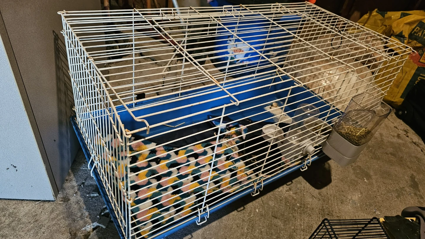 Small Animal Cage with Accessories - photo 3