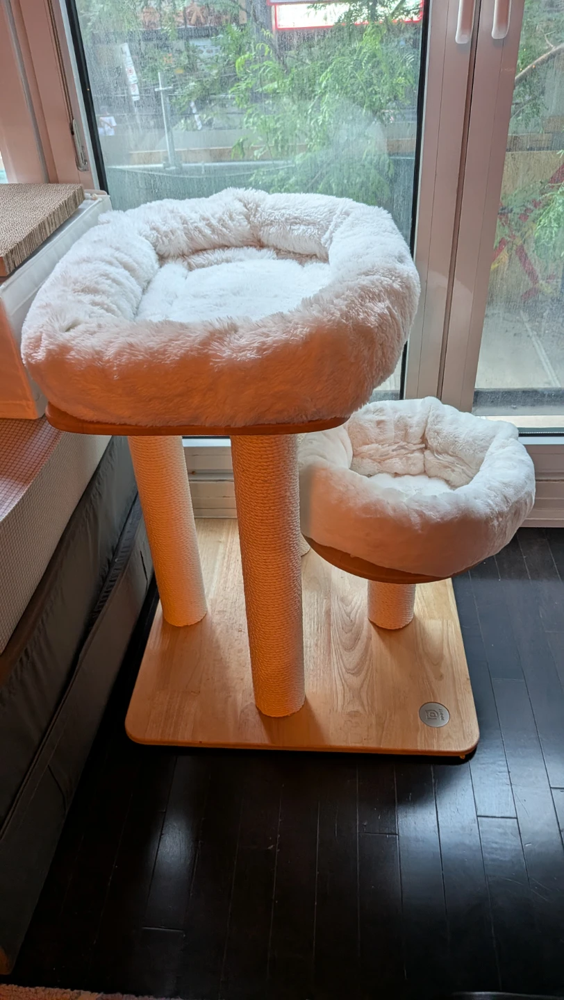 Cat Essentials-Tree, Covered Litterbox, Bed, Moderna Carrier - photo 4