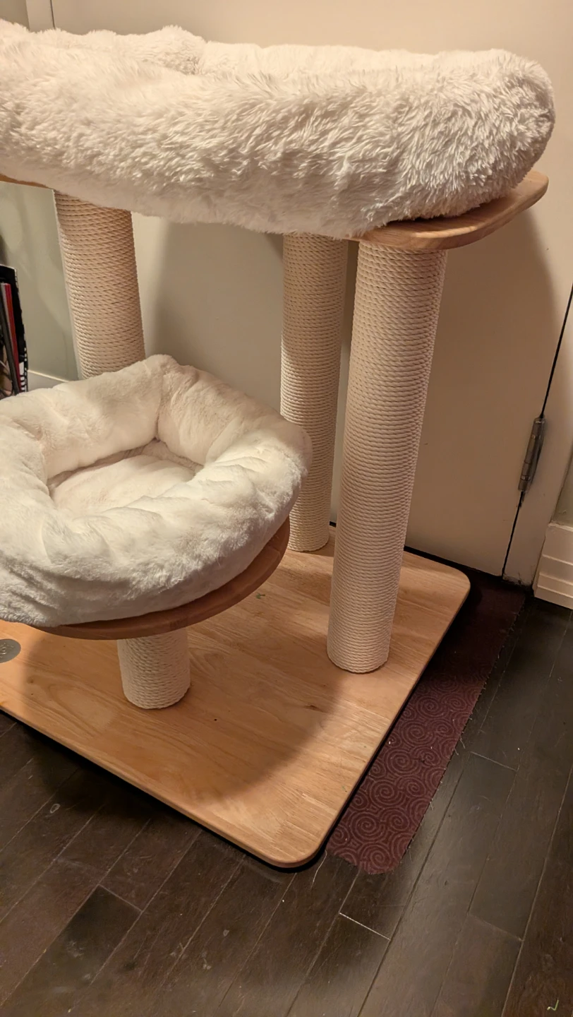 Cat Essentials-Tree, Covered Litterbox, Bed, Moderna Carrier - photo 5