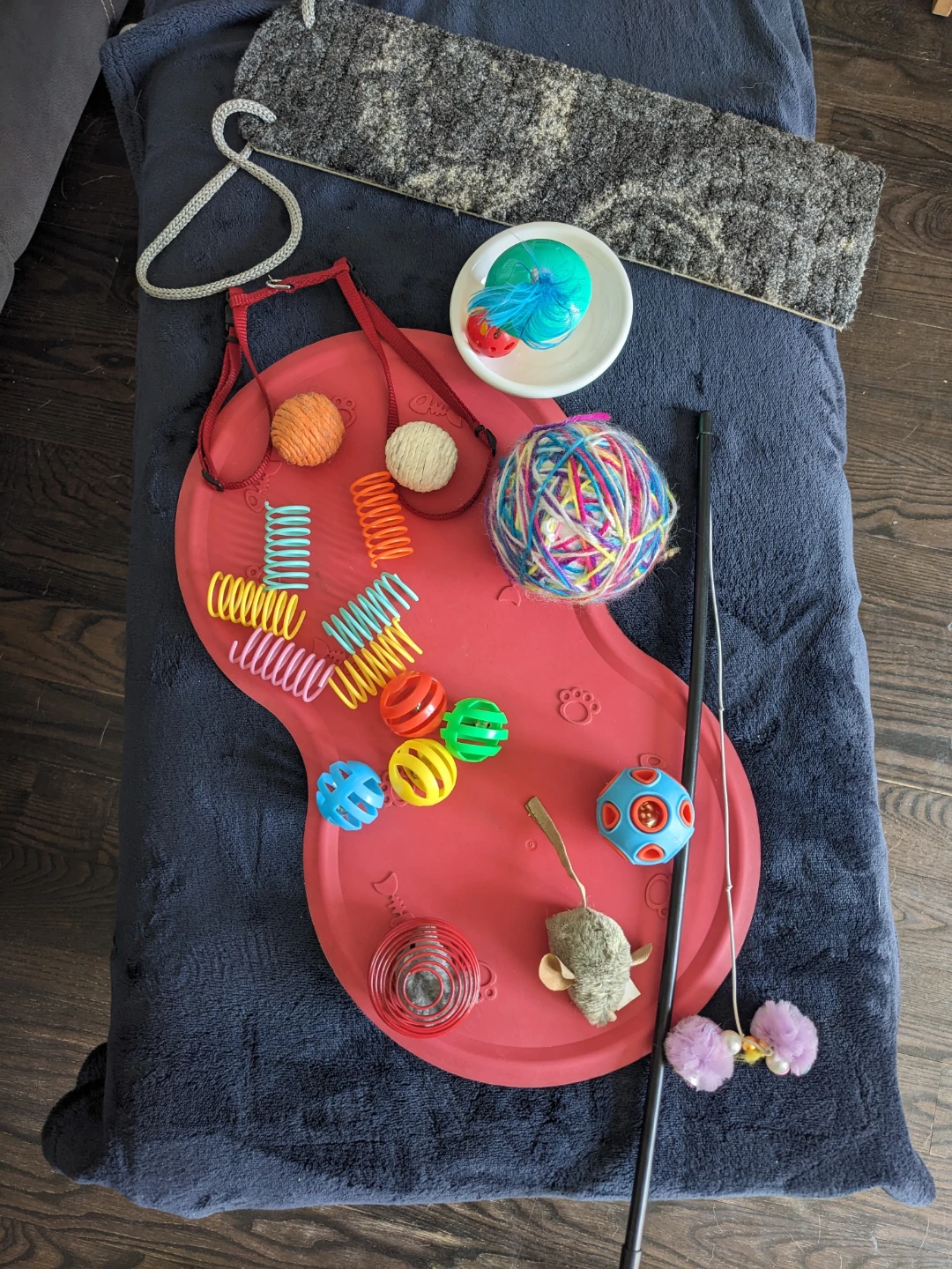 Cat Tree, cat toys, cat bed - photo 4