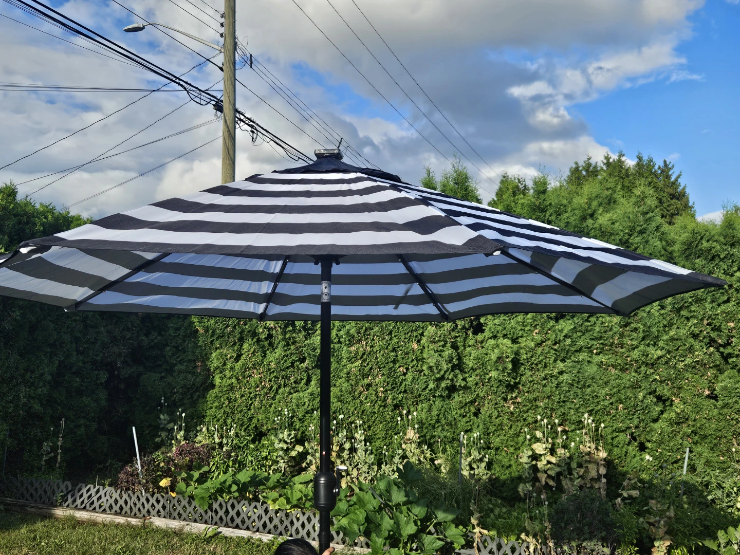 patio umbrella
