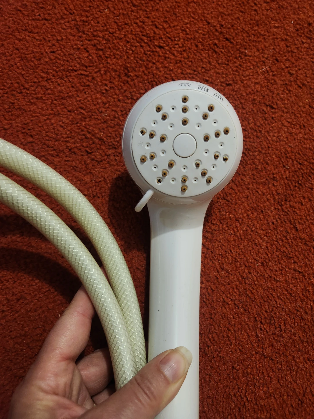 Handheld Shower Head w/Hose + New Shower Arm Mount