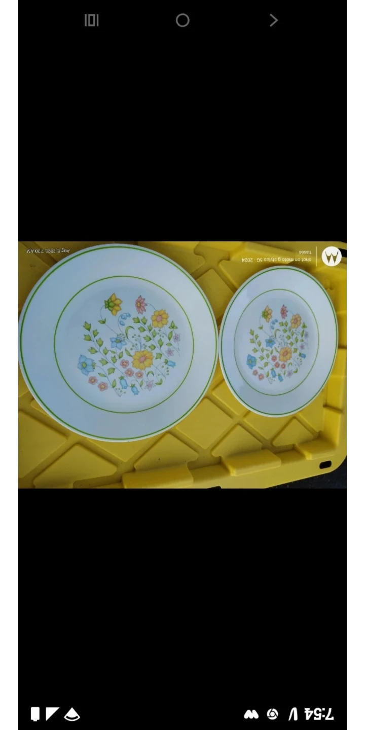 Corelle Plates (Set of 2) Floral Design