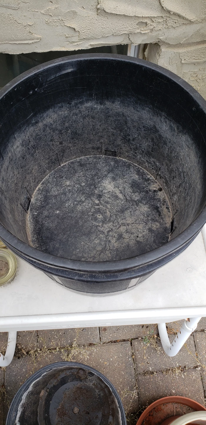 6 Large Black Plastic Plant Pots $2 each - photo 2