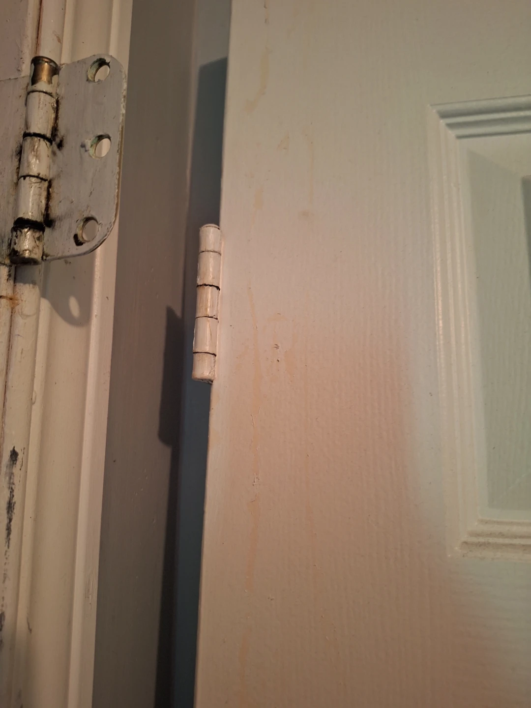 Interior Door Panel - photo 2