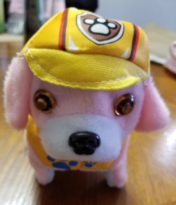 Paw Patrol Toy Battery operated