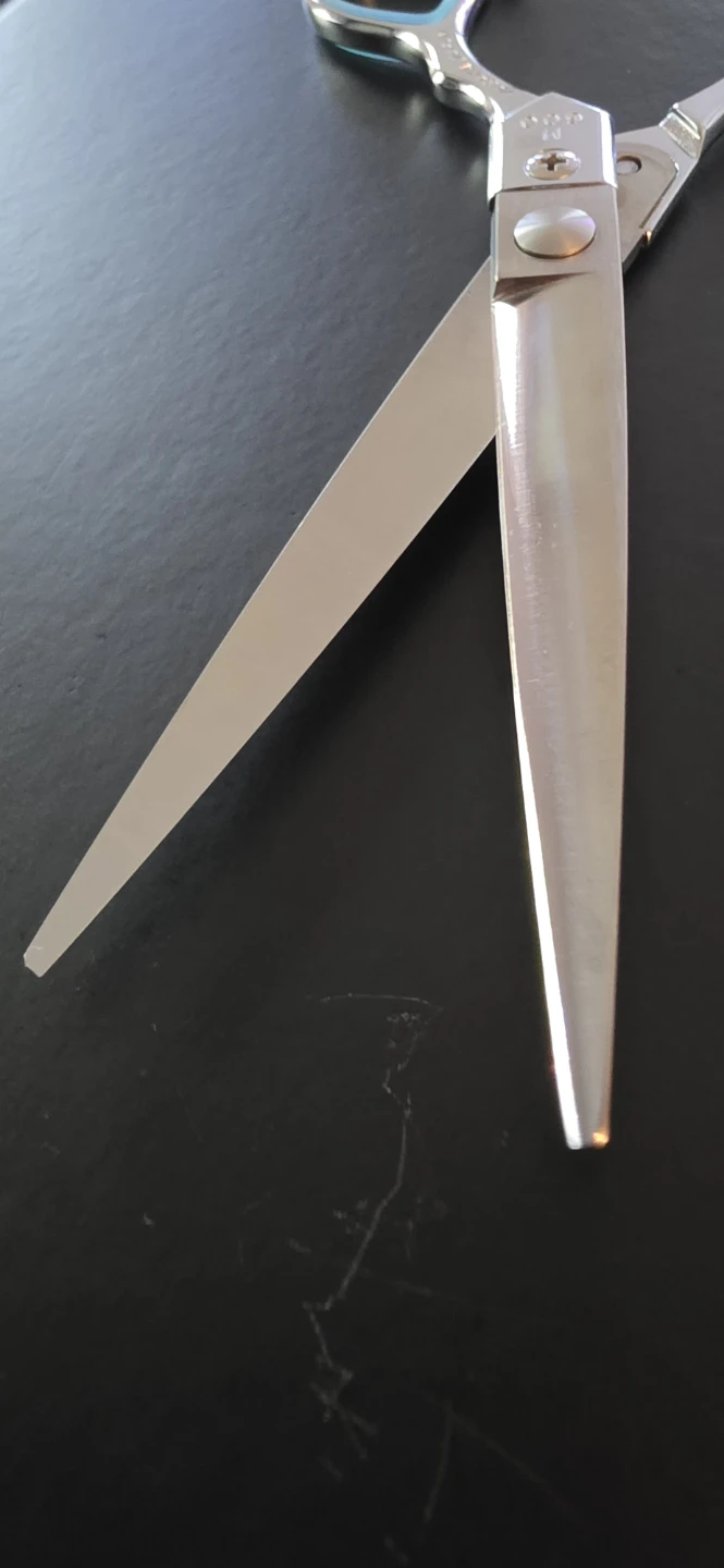Professional Shears
