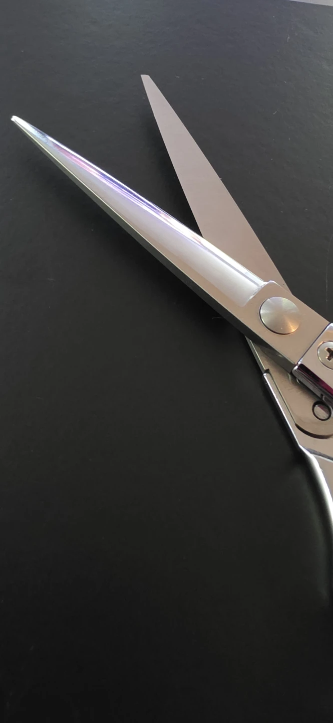 Professional Shears - photo 2